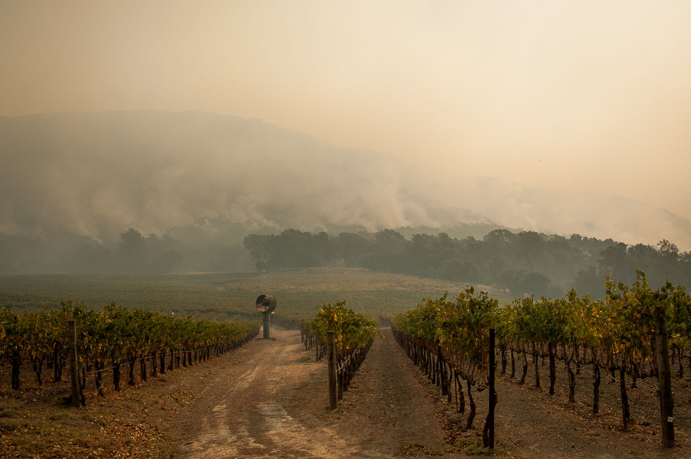 Napa County Wildfires